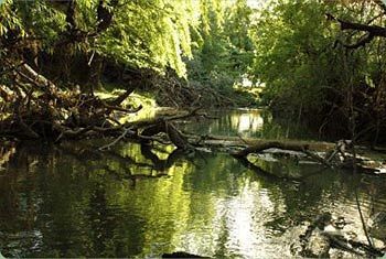 Отель Estancia El Cencerro Капилья-дель-Сеньор Экстерьер фото
